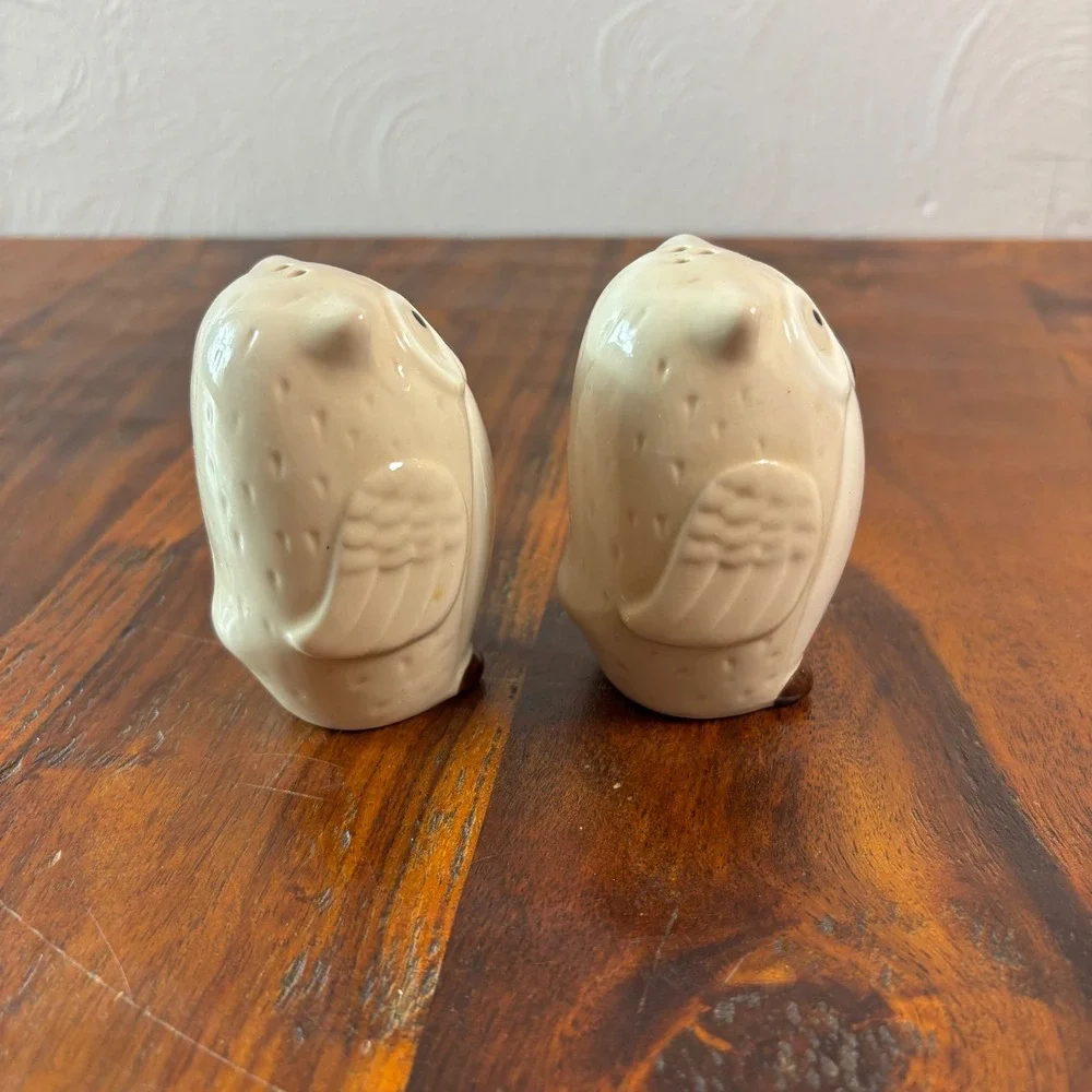 Pier One Imports Ceramic Owl Salt and Pepper Shakers Cream Brown Set of 2